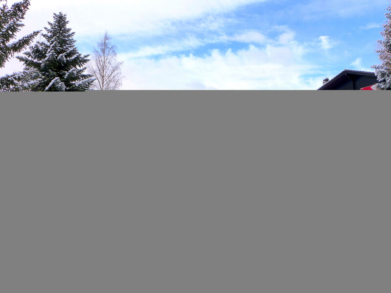 Chalet Larix