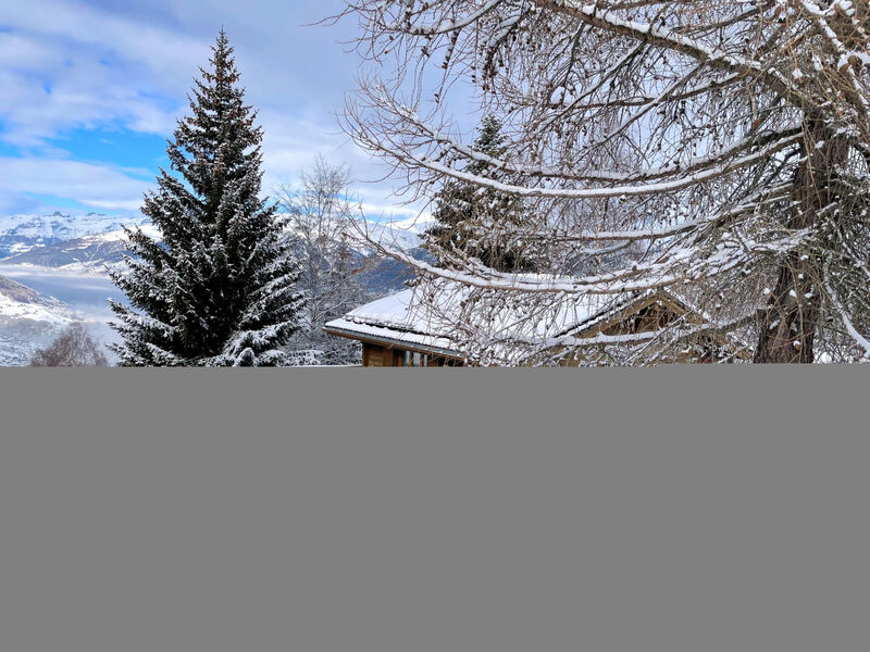Chalet Larix