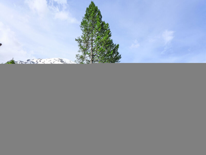 Chalet Larix