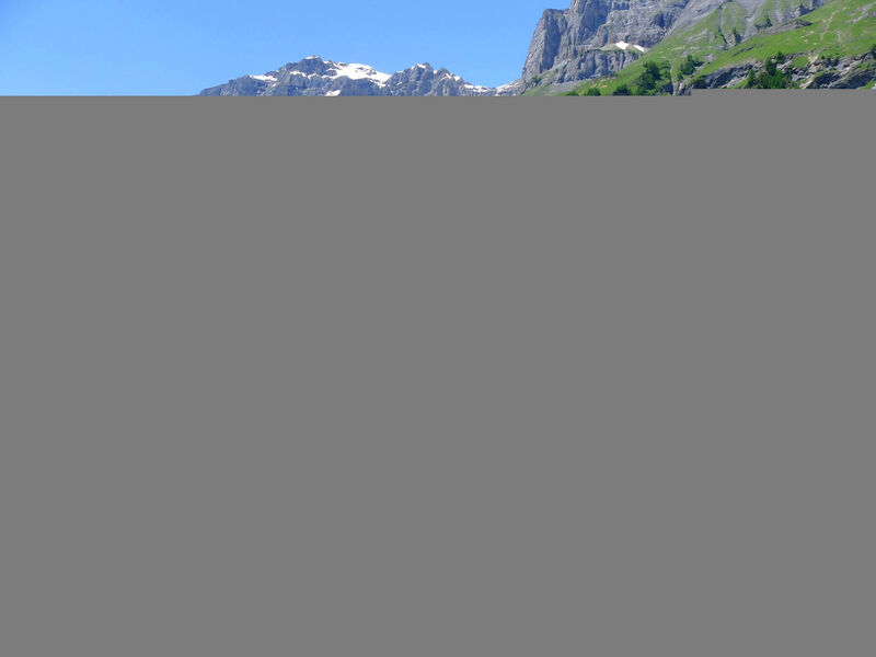 Edelweiss C
