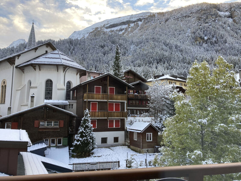 Geräumiges 3.5-Zimmer - Zentral - Balkon - Haus Dala
