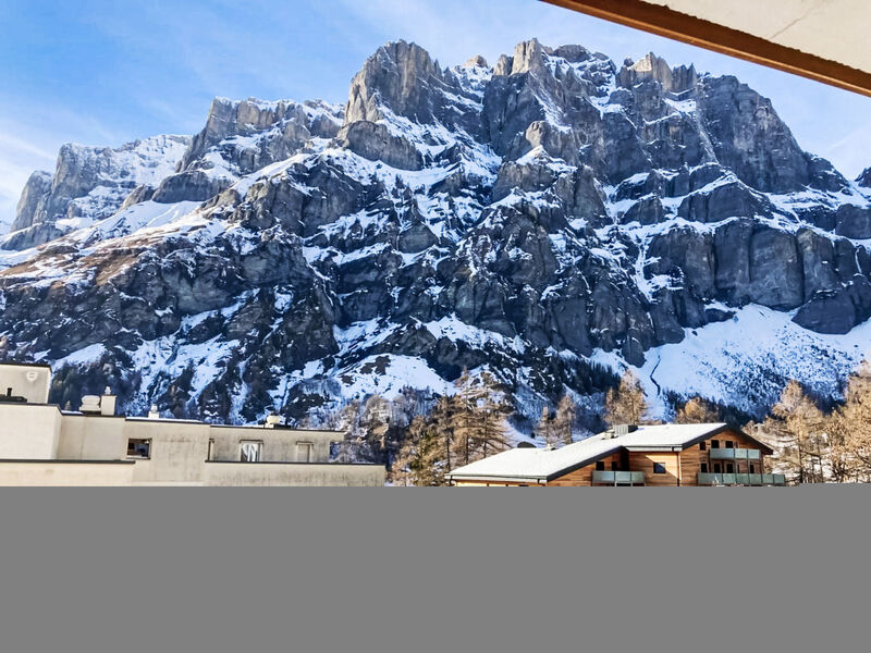Marmotta 19