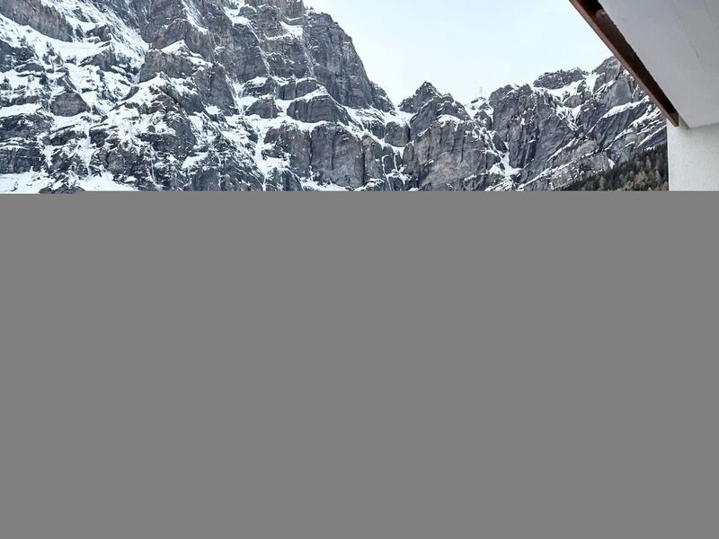 Marmotta 19