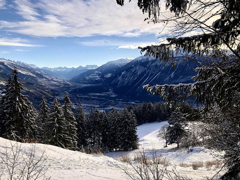Lisière-Sud