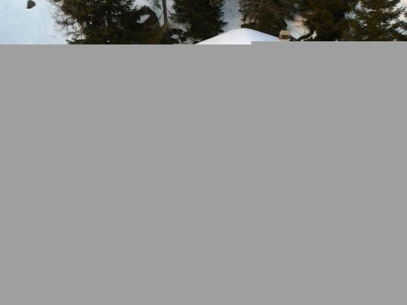 Chalet Belland