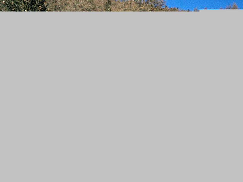 Chalet Murmeli