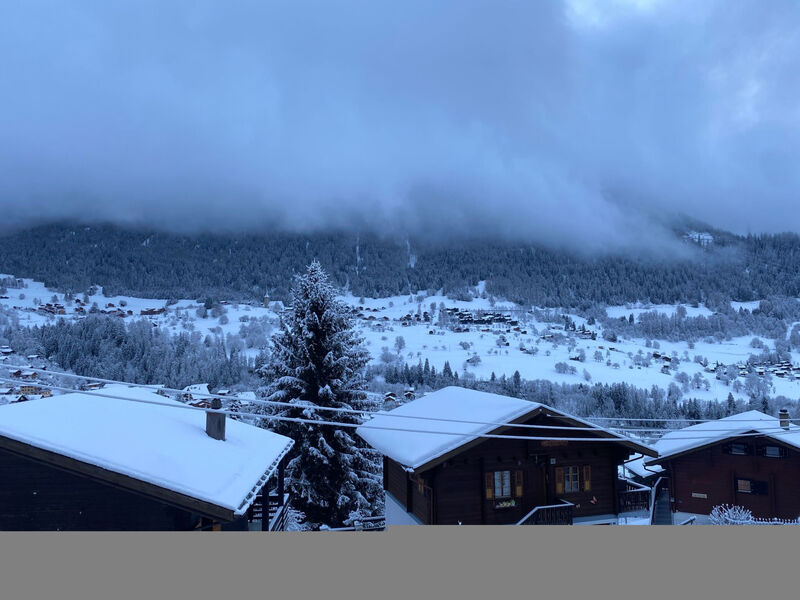 Chalet Sternschnuppe