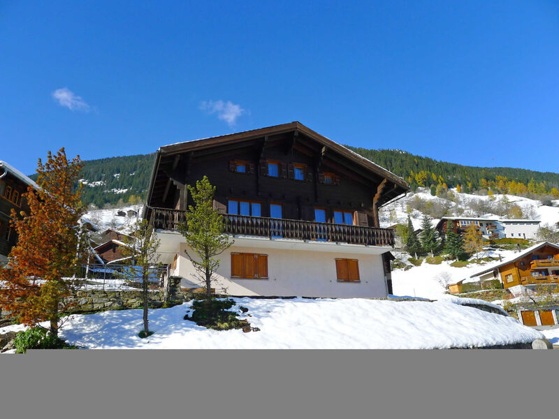 Ferienhaus Godo