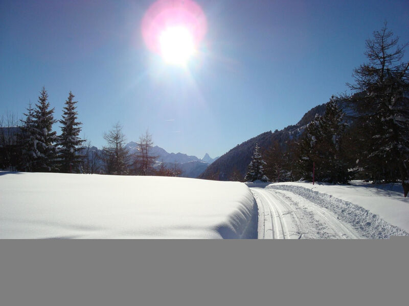 Almenrausch Andreas