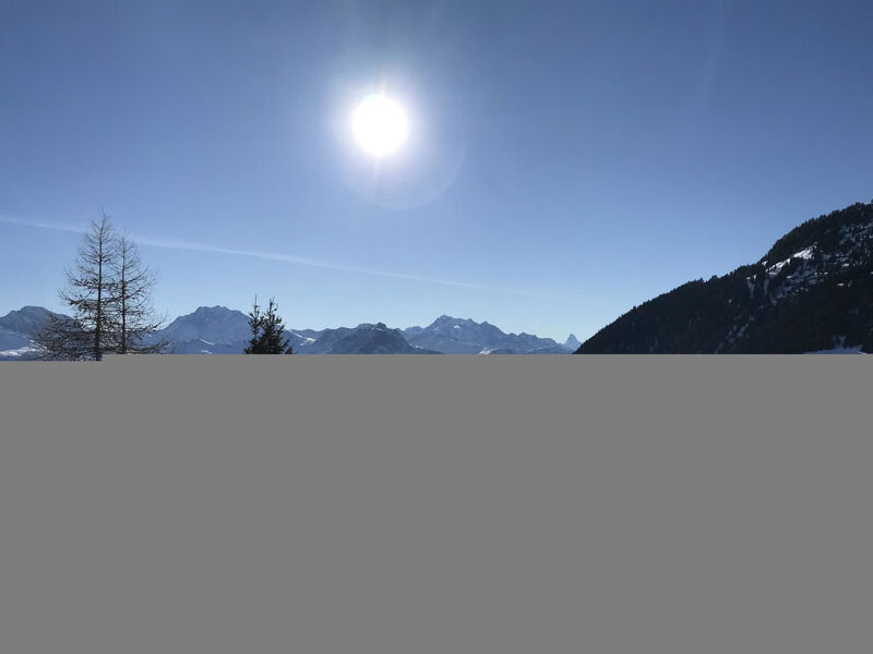 Almenrausch Andreas