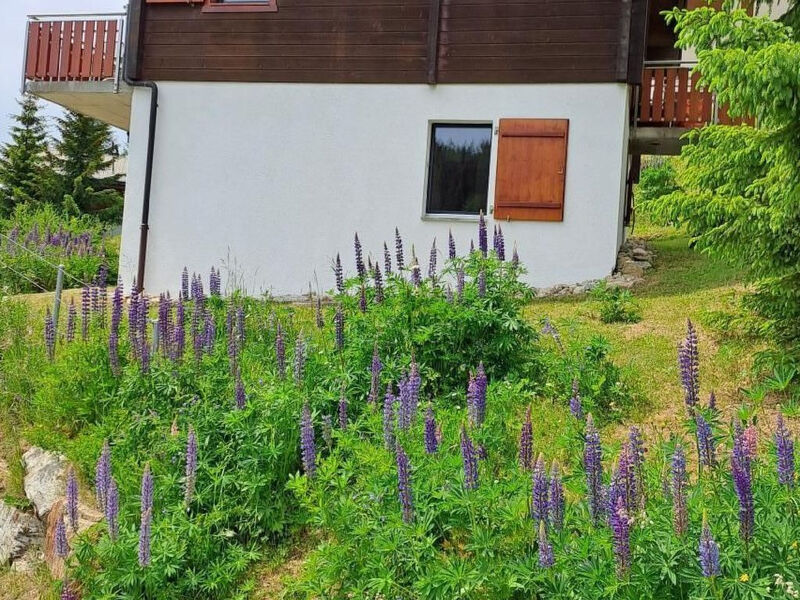 Chalet Brunnquell