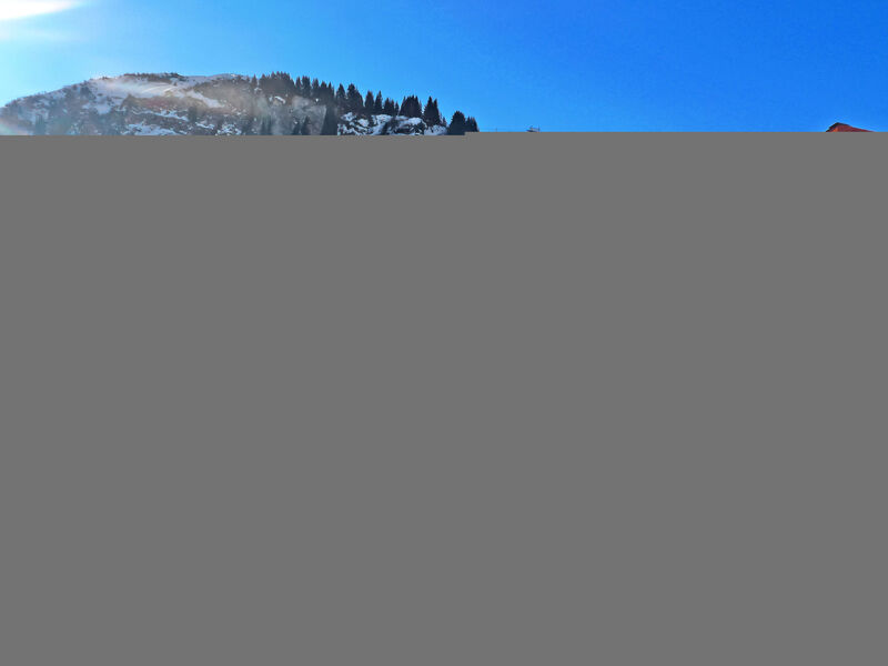 Le Hameau Des Crosets
