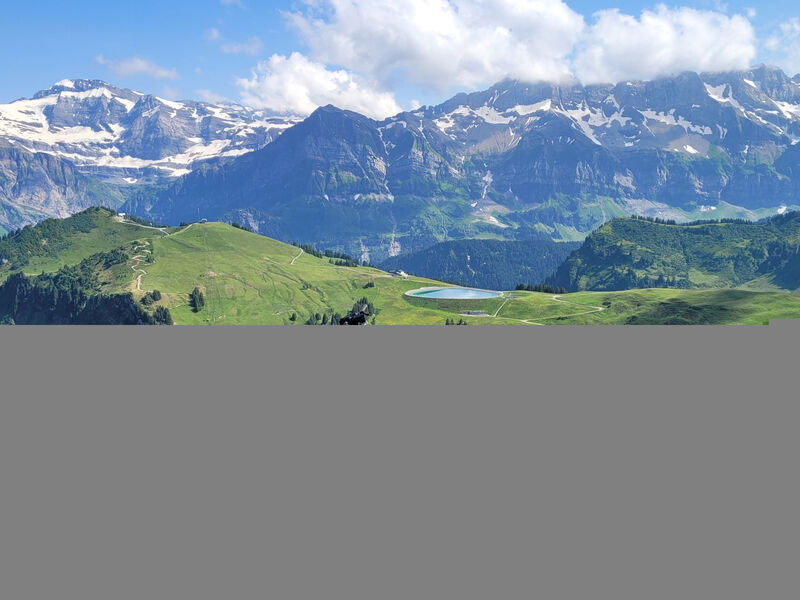 Ecureuil