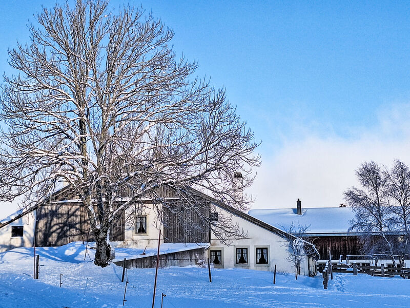 Les Grangettes