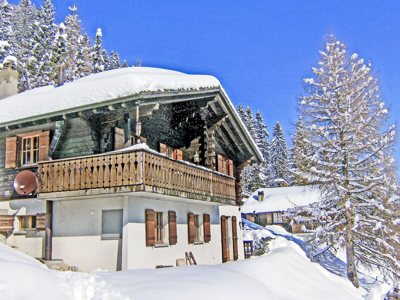 Le Chamois
