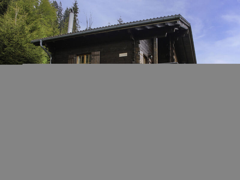 Chalet Les Pitchounes
