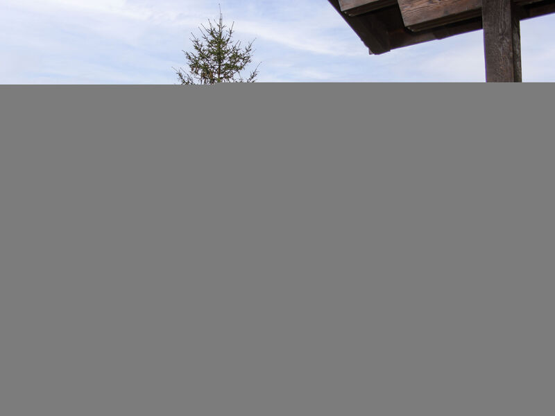 Chalet Les Pitchounes