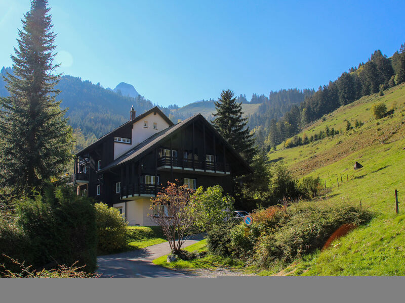 Grande Ourse