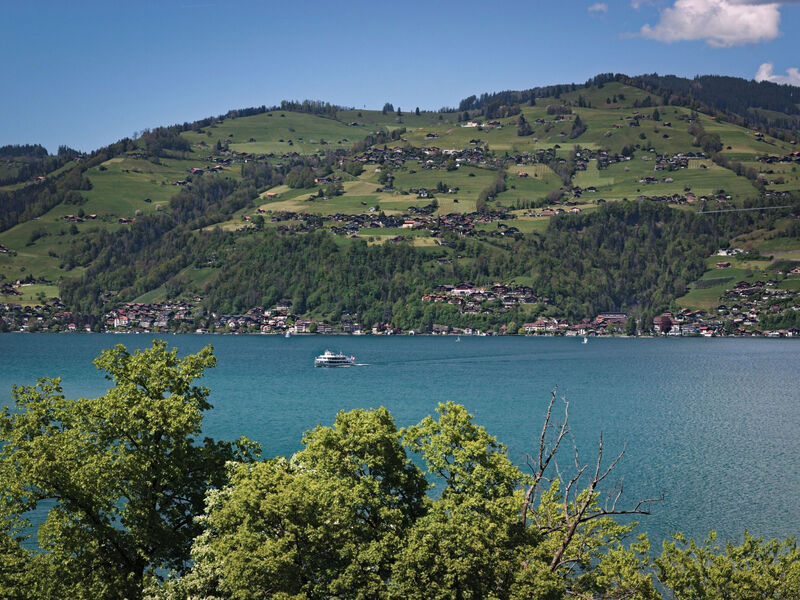 Seepark, direkt am See