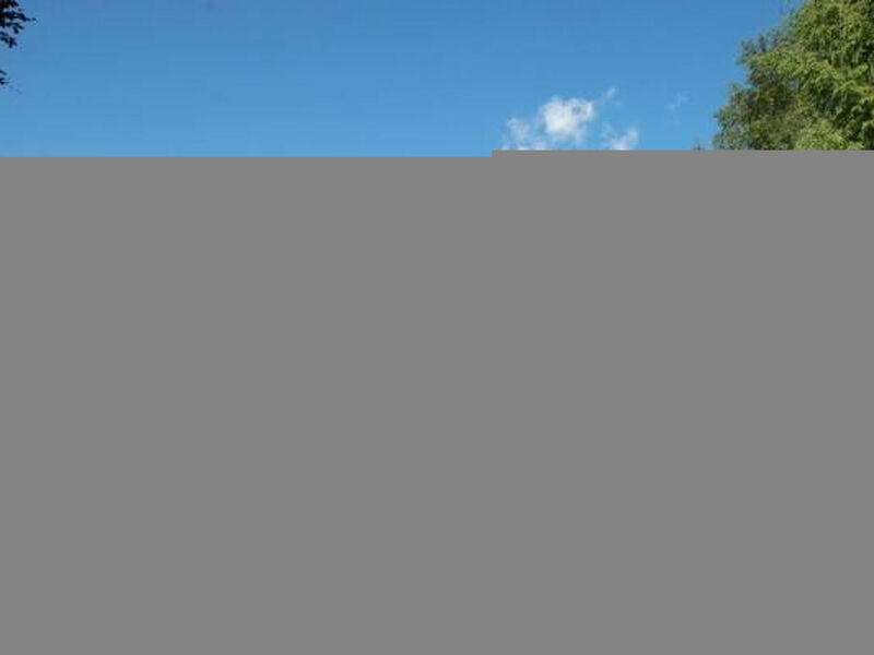 Chalet Rosenthaler