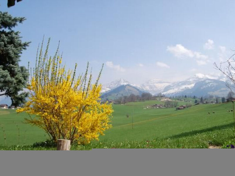 Chalet Alouette