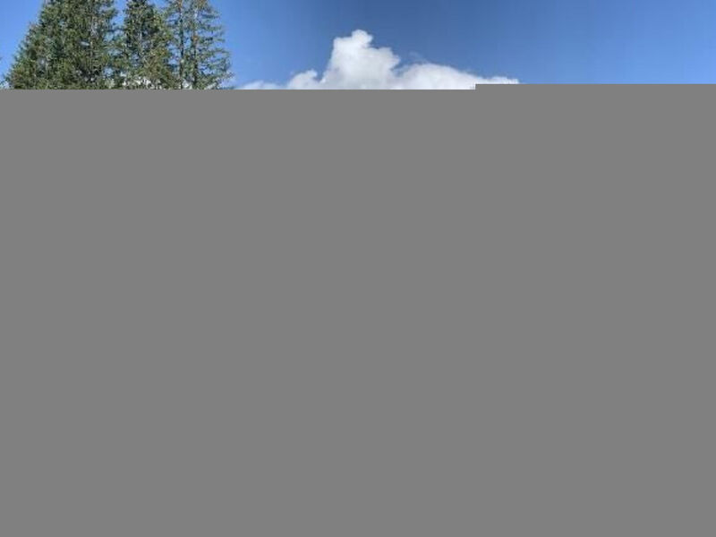 Chalet Bärgblüemli
