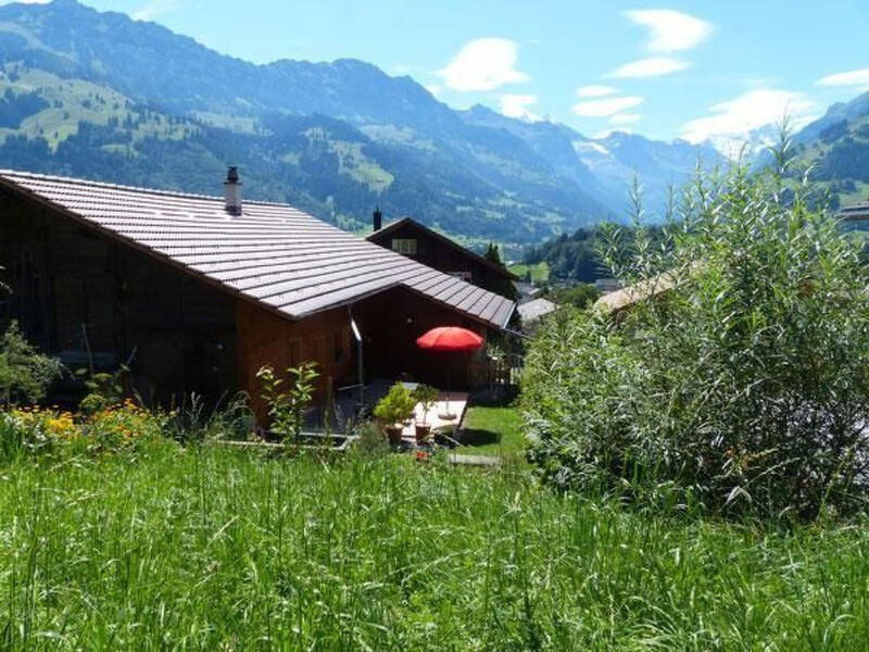 Alpenblick west