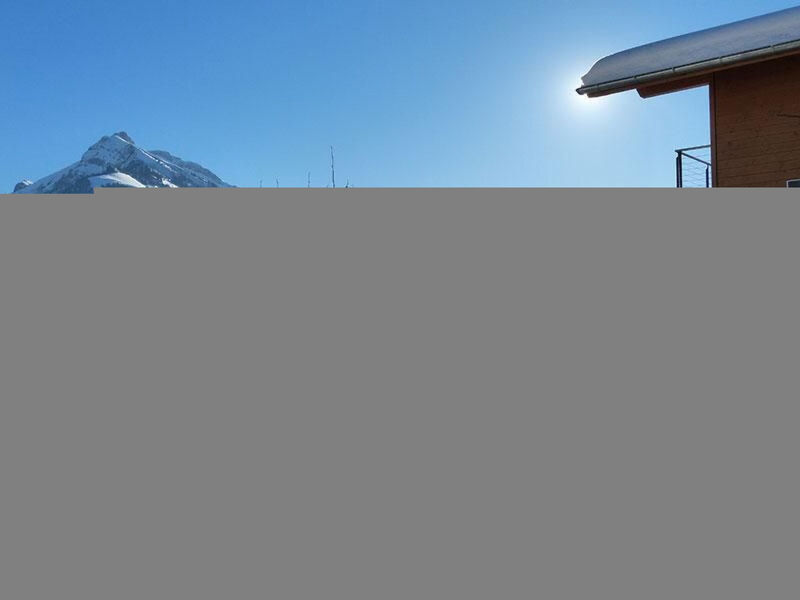 Alpenblick west