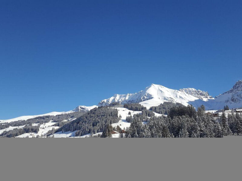 Chalet Wäschhüsi