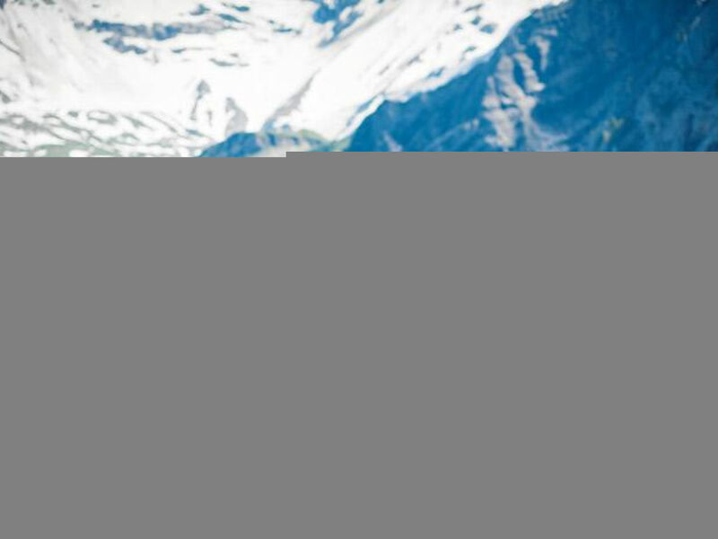 Alpenrose