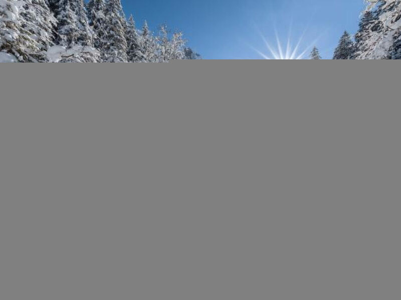Alpenrose