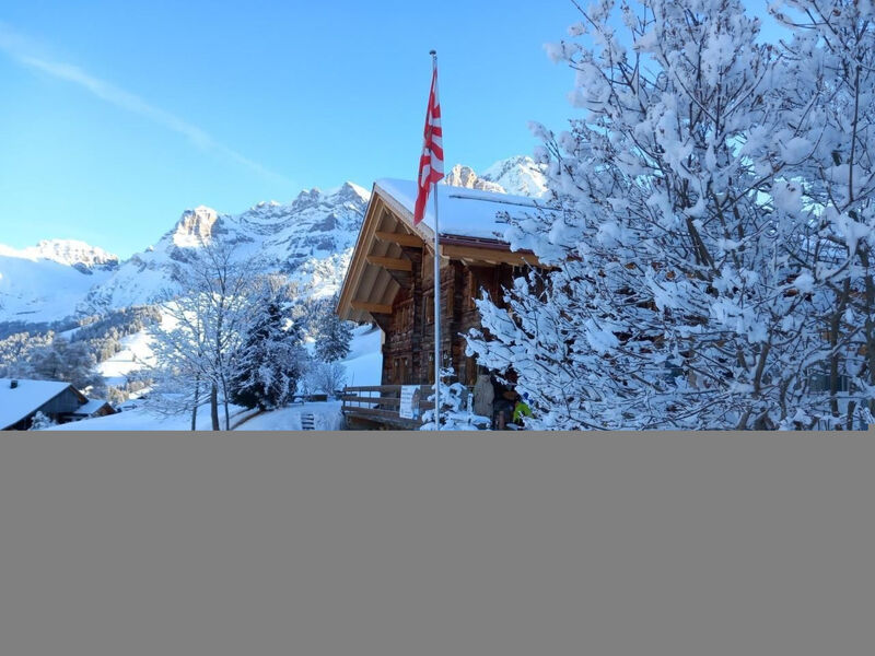 Alpen Vista