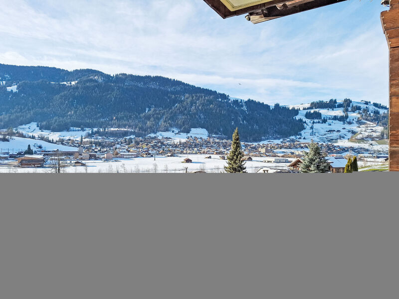 Chalet Anita