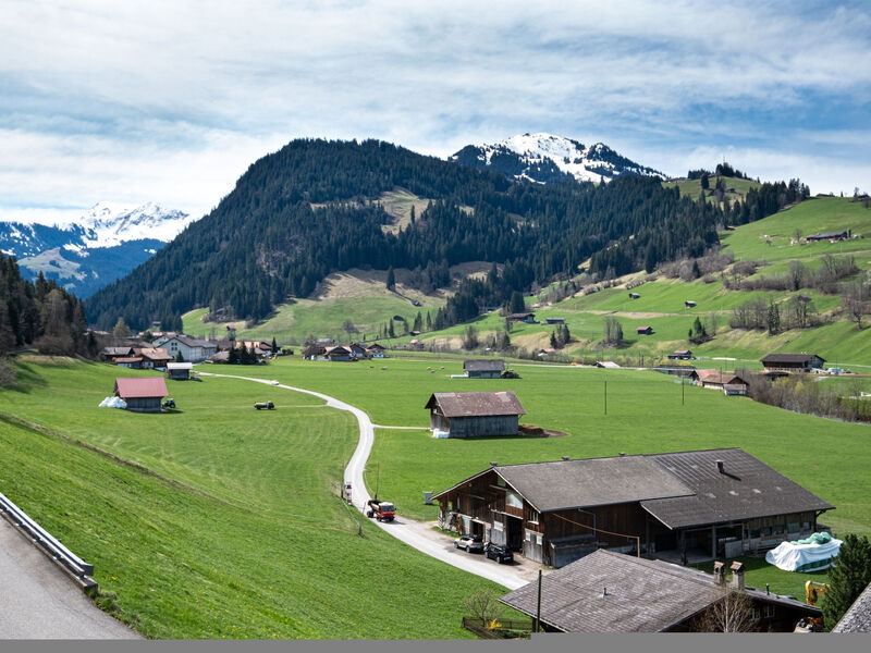 Chalet Anita