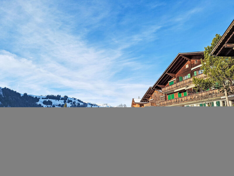 Chalet Anita