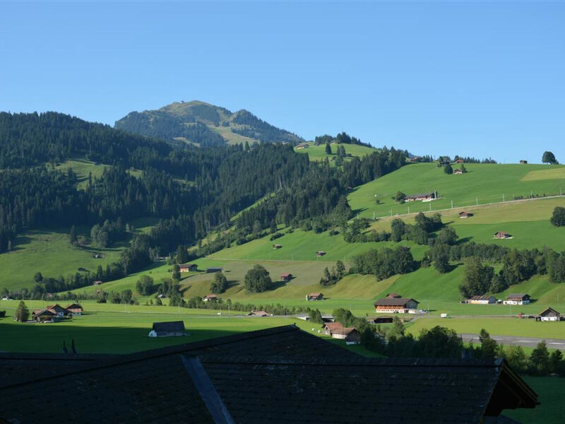 Eichhorn