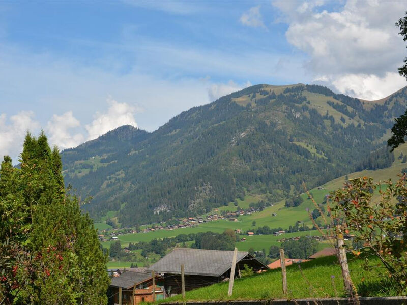 Spillgerten-Blick