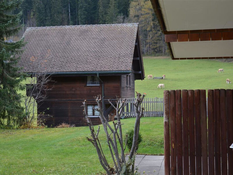 Simmental