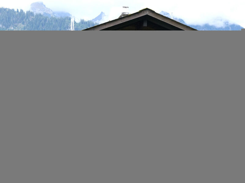 Weidli, Chalet