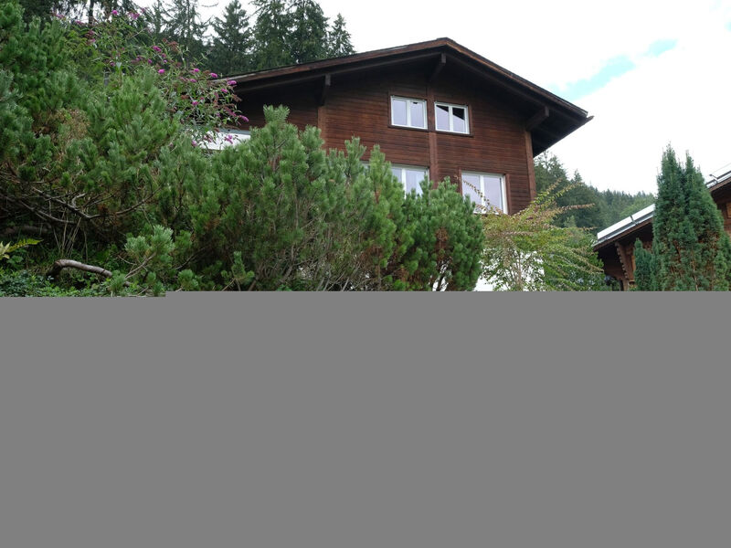 Weidli, Chalet