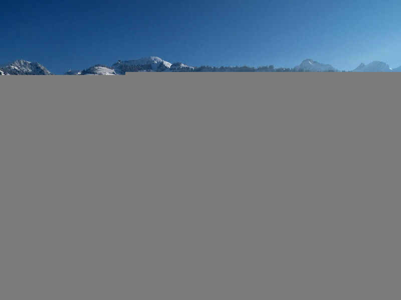 Weidli, Chalet