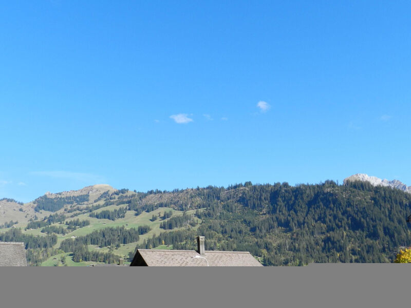 Studio Poli