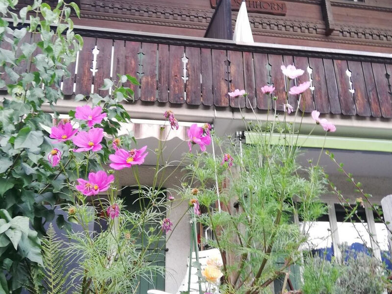 Chalet Flöschhorn