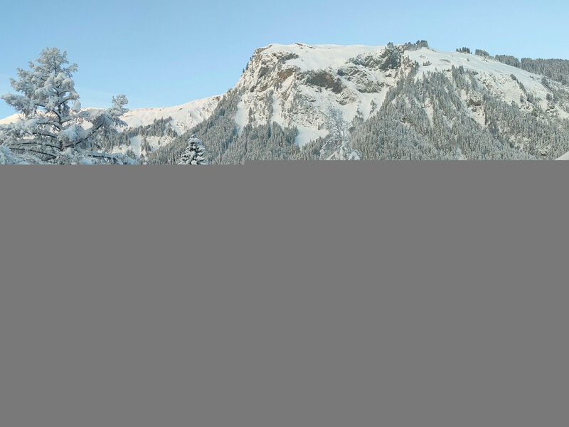 Lenk Unique
