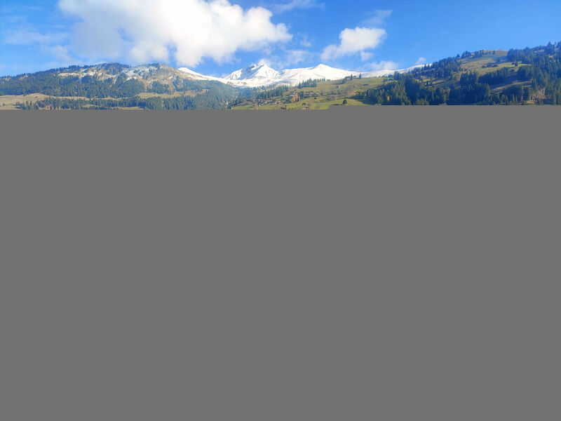 Lenk Unique