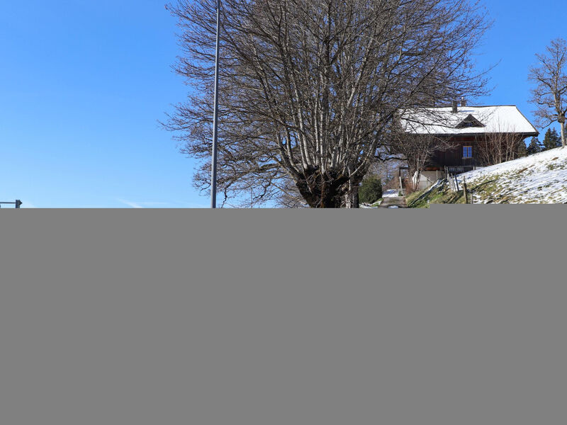 Chalet Ahorni