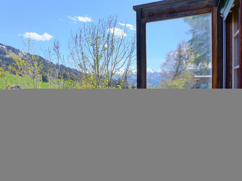 Chalet Ahorni