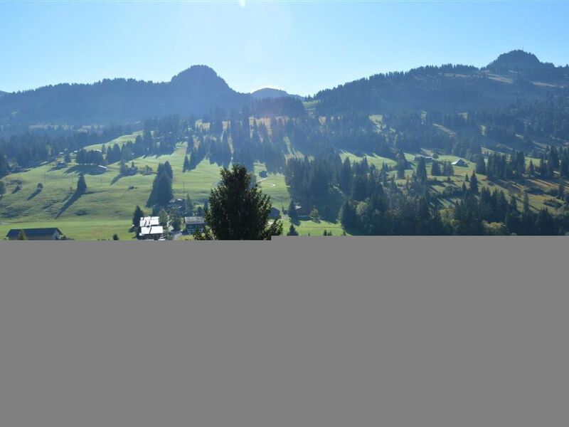 La Ruche, Chalet