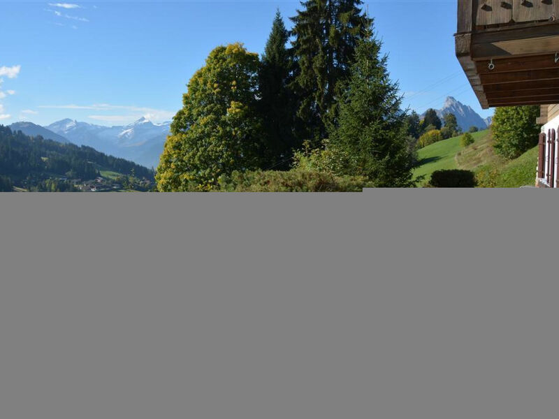 La Ruche, Chalet