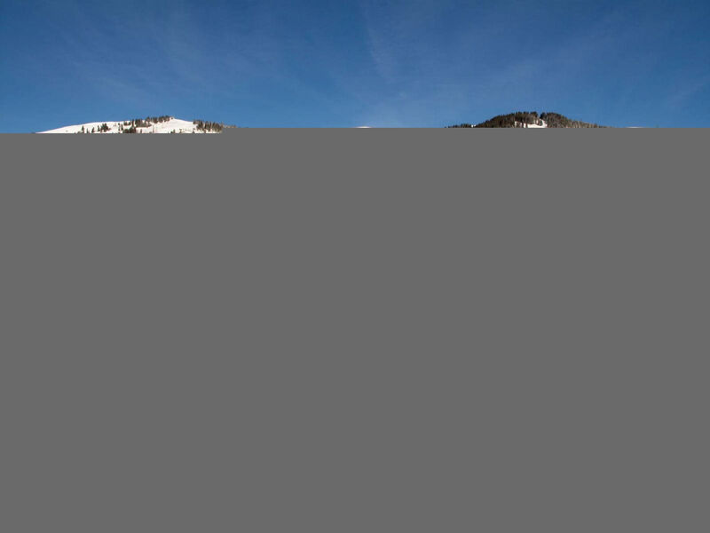 Les Hivernants (Eg Links)